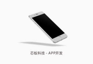 APP定制开发